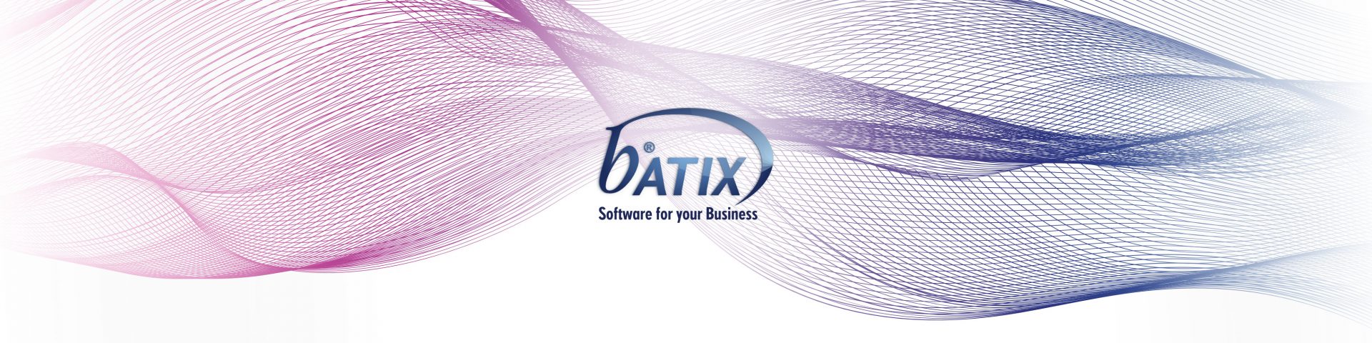 STECKBRIEF: BATIX SOFTWARE GMBH – EIN GESPRÄCH MIT JÖRG FLÜGGE ...