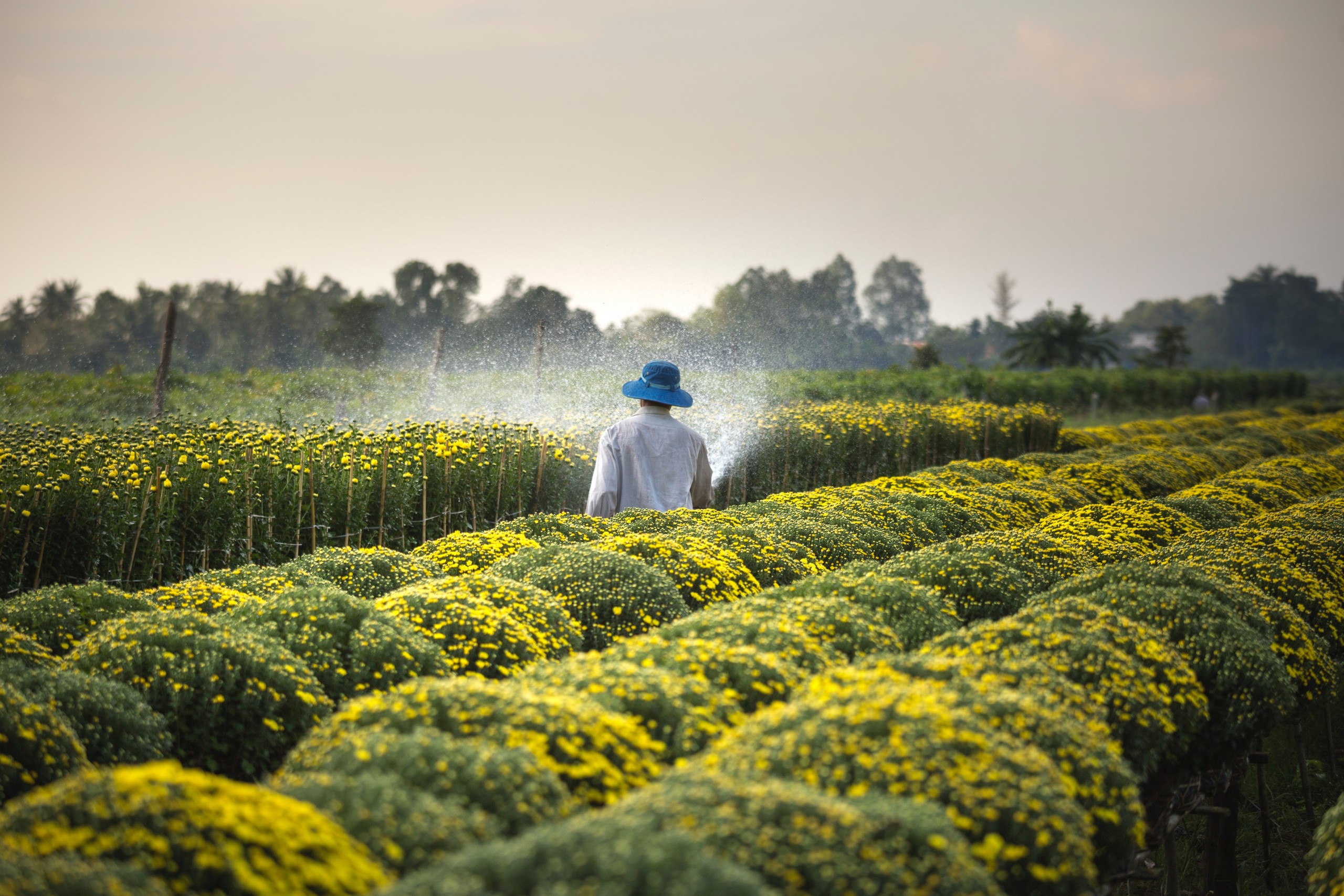 foto: Quang Nguyen Vinh